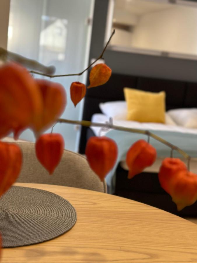 Studio Apartman Kőszeg Eksteriør billede